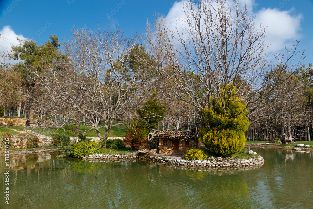 Obraz premium Small Lake in a Park
