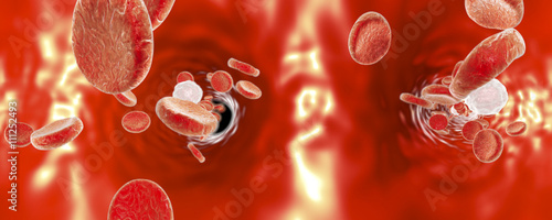 Panorama 360 degree view inside blood vessel, red blood cells and white blood cells, background with red blood cells, medical background, circulatory system, cardiovascular system. 3D illustration