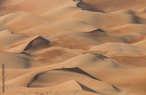Sandtunes in Liwa desert, in Aby Dhabi, UAE, at sunrise