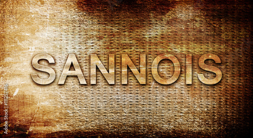 Fotografie sannois, 3D rendering, text on a metal background