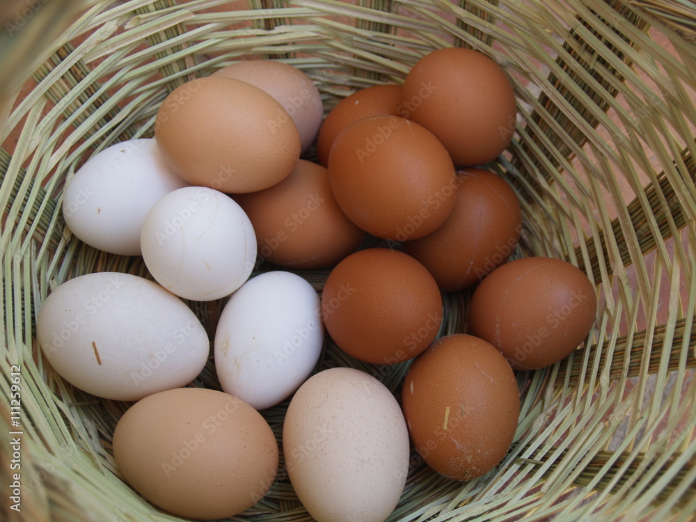 basket multicolor eggs basket multicolor eggs
