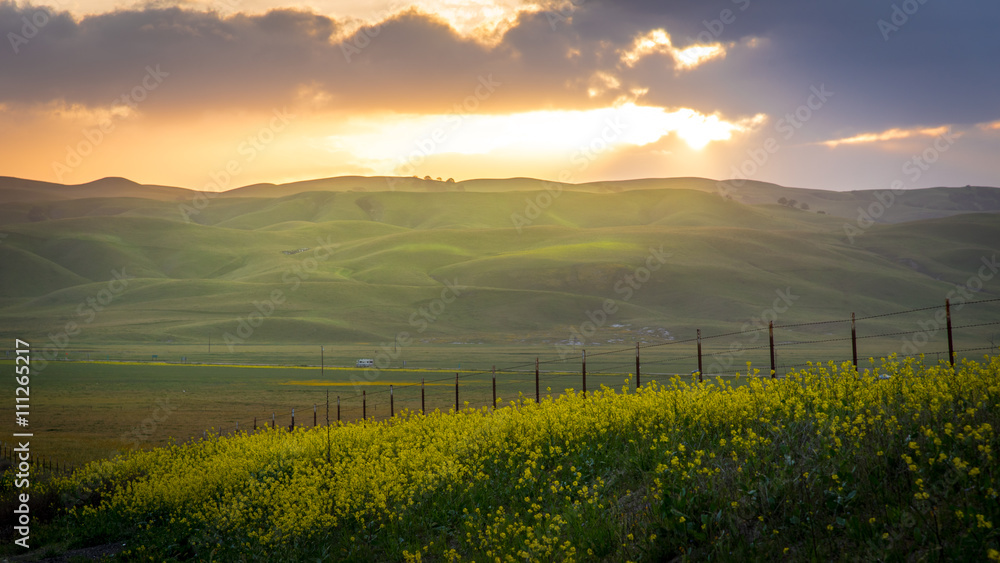 Fototapeta premium Beautiful California
