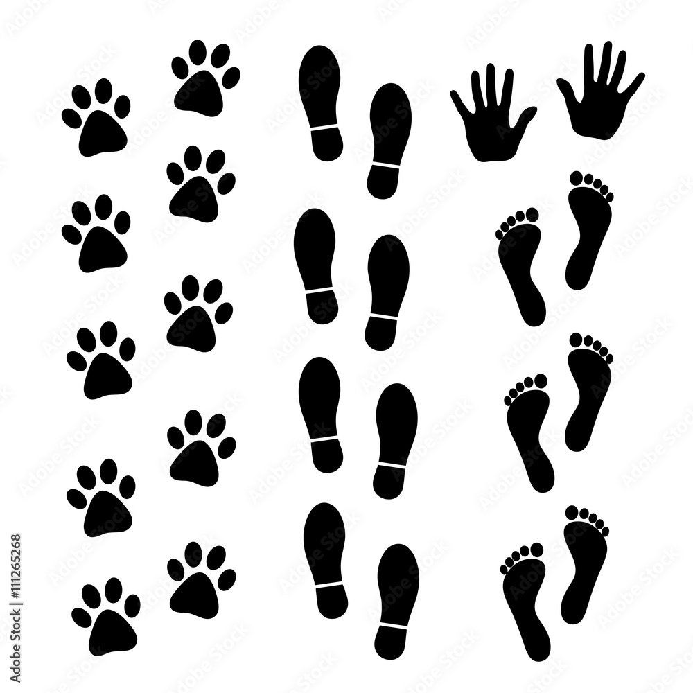 Fototapeta Vector set of black footprints of humans and animals.