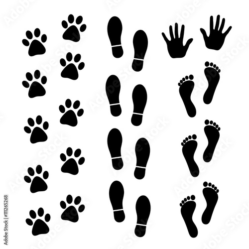 Vector set of black footprints of humans and animals. © Ms VectorPlus