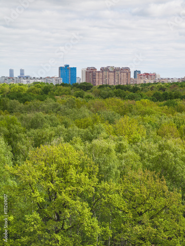green trees in summer forest and city buildings