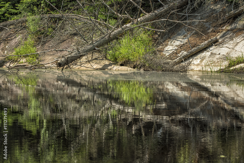 Wetland Conservation Wetland Conservation