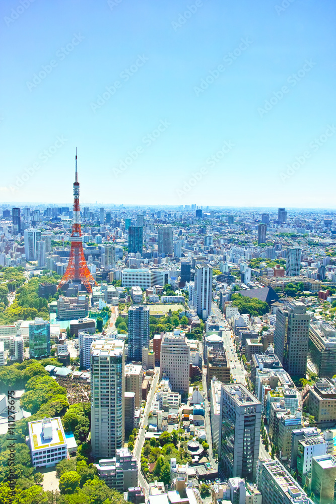 Naklejka premium 新緑の東京の風景