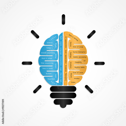 Right and left brain logo vector design.Creative brain