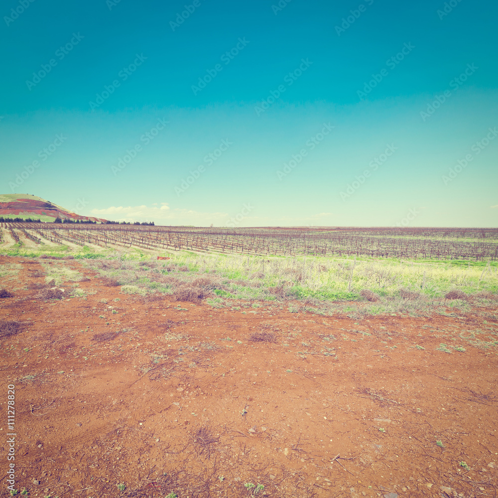 Golan Heights Golan Heights