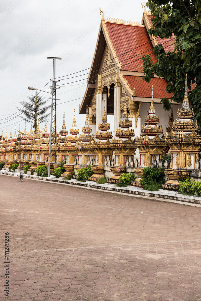 That Luang From Outside