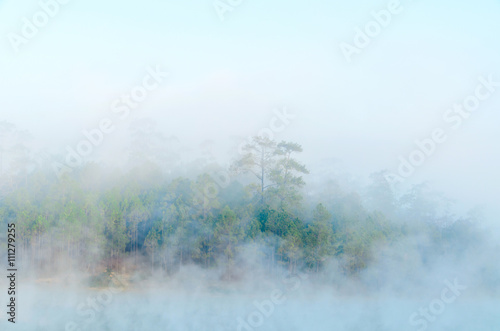 Morning fog over lake with pine forest at Galyani Vadhana District in Thailand © kedsirin