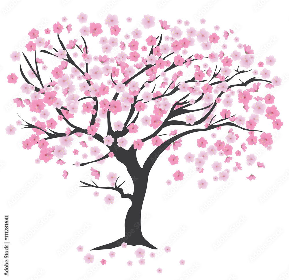 Fototapeta premium Cherry Tree
