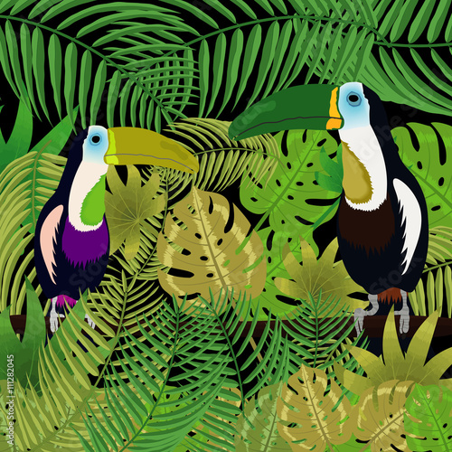 Picture toucan in the jungle