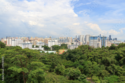 Panorama view with Singapore skyline seen from Mount faber rainforest © johannes86
