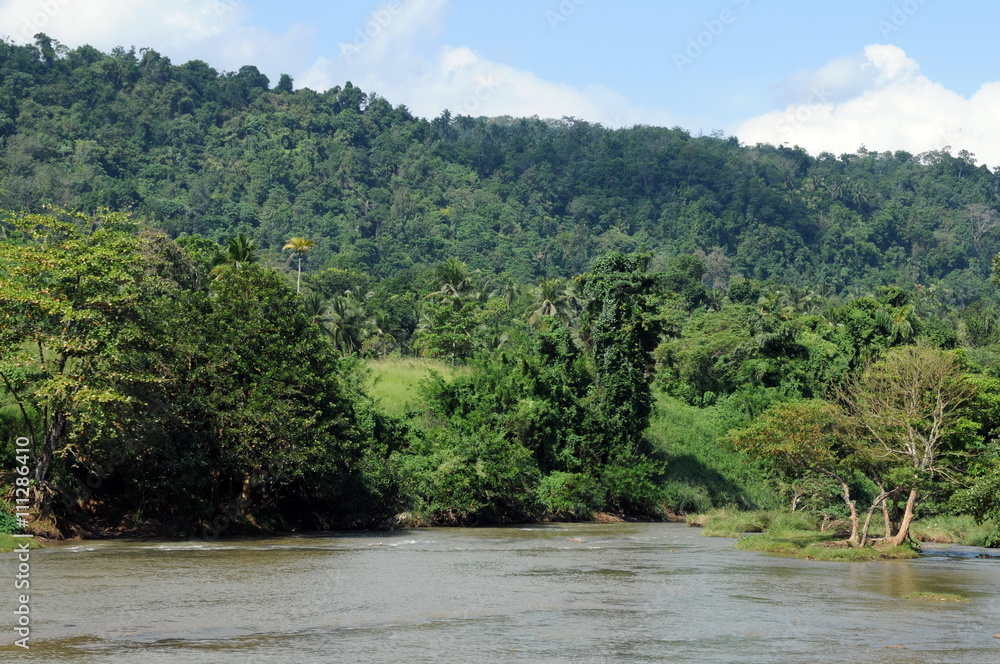The landscape on the island of Sri Lanka. Island in the Indian ocean. The landscape on the island of Sri Lanka. Island in the Indian ocean.