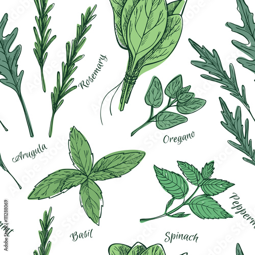Hand drawn vintage illustration - herbs and spices. Vector