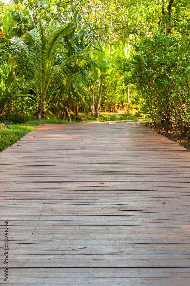 The walk way in the park at Thailand. The walk way in the park at Thailand.