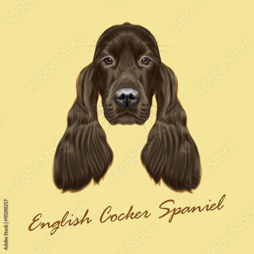Vector Illustrated portrait of Gordon Setter dog.