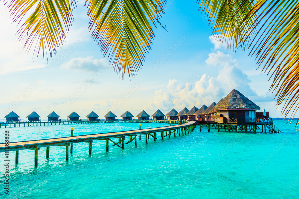 Naklejka premium Wyspa Malediwy
