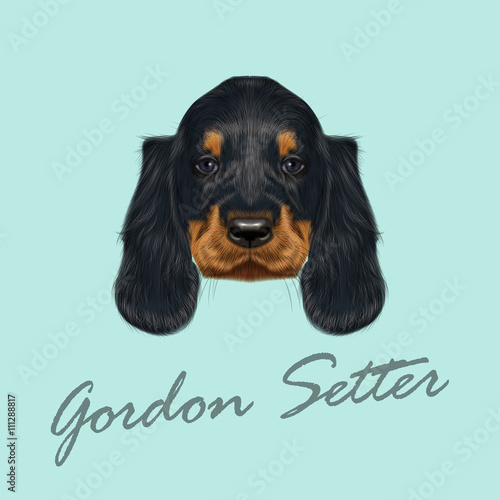 Vector Illustrated Portrait of Gordon Setter dog.
