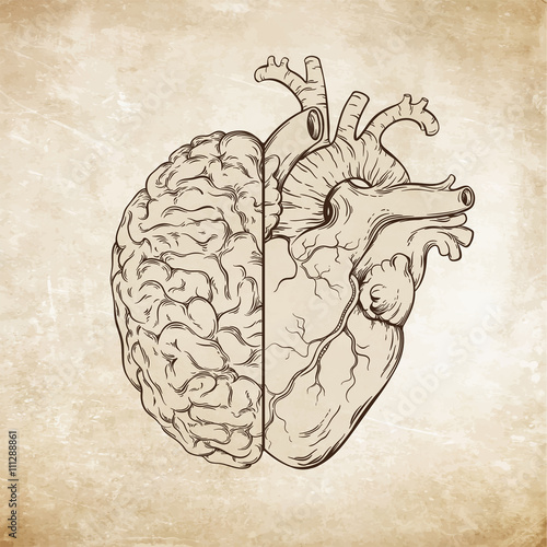 Hand drawn line art human brain and heart. Da Vinci sketches style over grunge aged paper background vector illustration. Logic and emotion priority concept. 