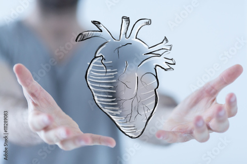 heart