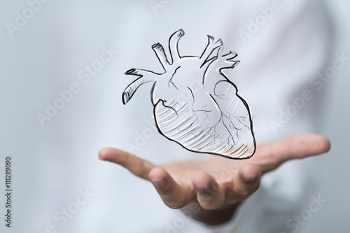 heart