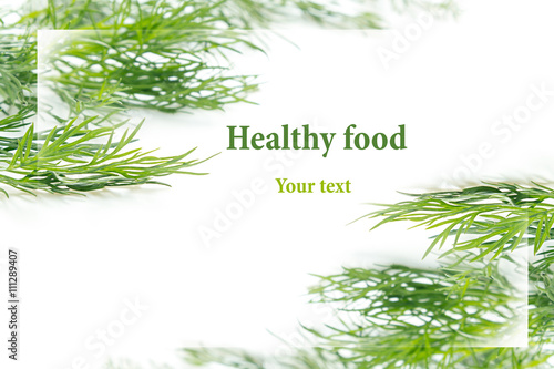 Sprigs of green dill on a white background. Frame with copy space for text. Isolated  studio  close-up