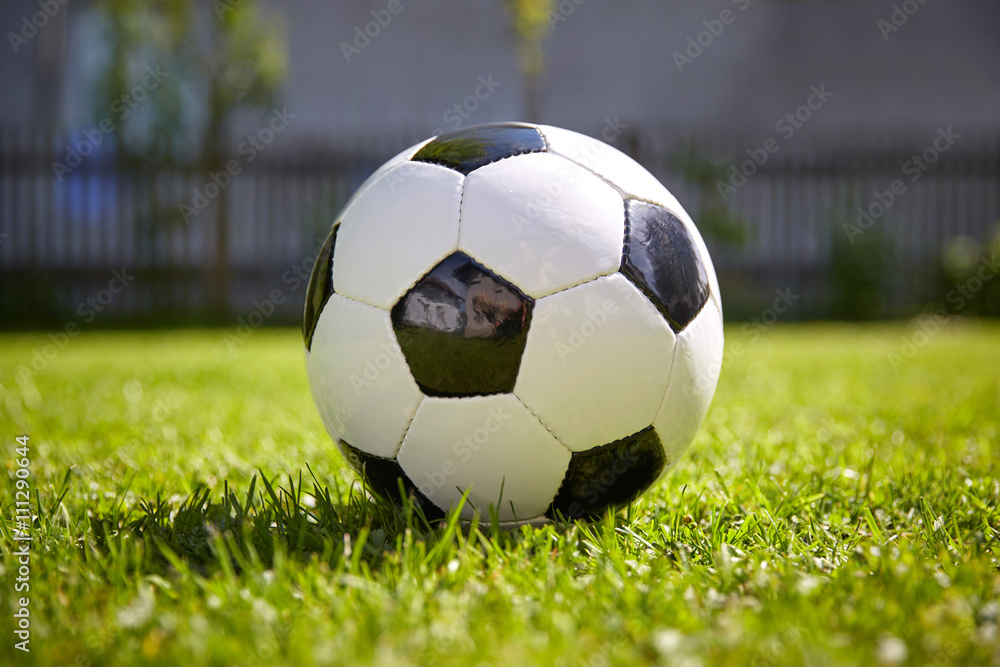 Fototapeta premium Football of soccer game lying on the grass of the garden
