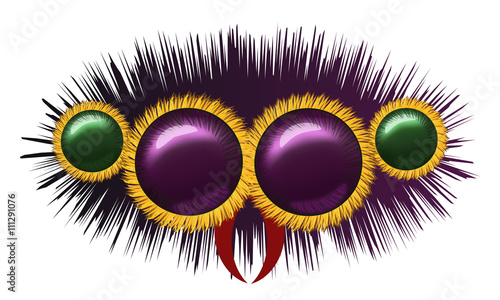Vector eyes of the huge hairy spider