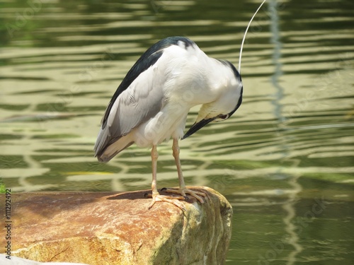 EGRET