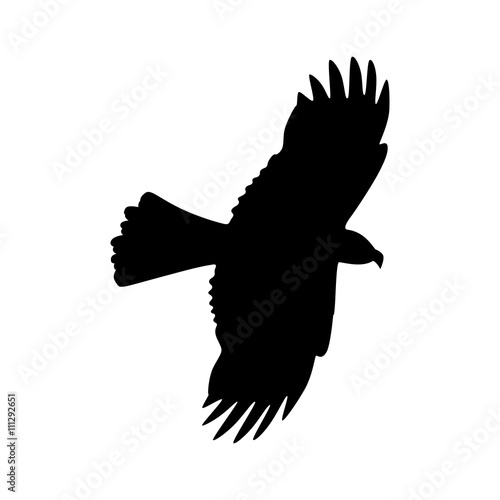 Black Silhouette of Hawk