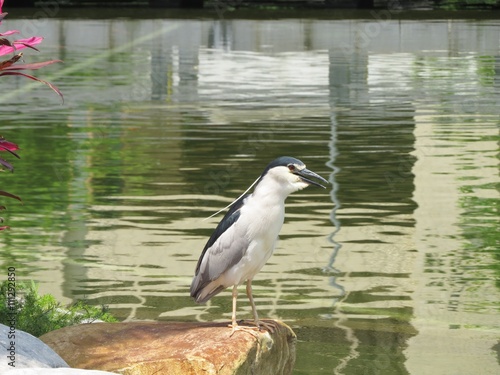 EGRET
