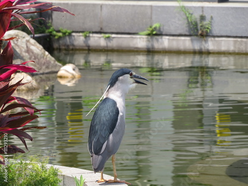 EGRET