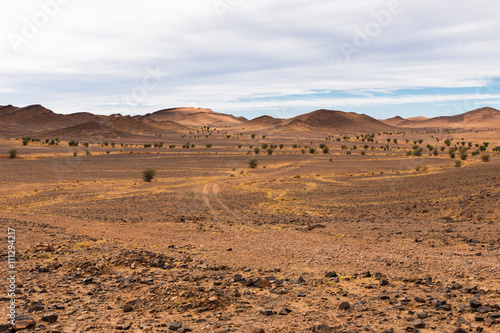 road in the desert Sahara
