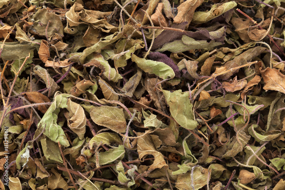 Organic Black Basil or Krishna Tulsi (Ocimum Tenuiflorum) dried leaves. Macro close up background texture. Top view. Organic Black Basil or Krishna Tulsi (Ocimum Tenuiflorum) dried leaves. Macro close up background texture. Top view.