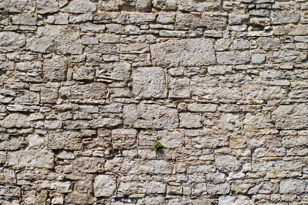 Kalksteinmauer, Sommerhausen Kalksteinmauer, Sommerhausen