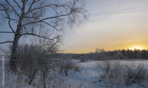 Winter dream © valeriy boyarskiy