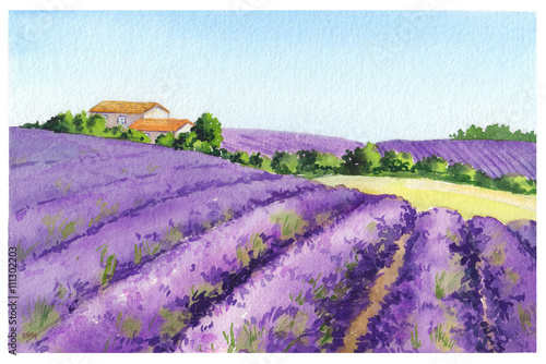 Papier peint Lavender field with rural house in Provence, France. Watercolor