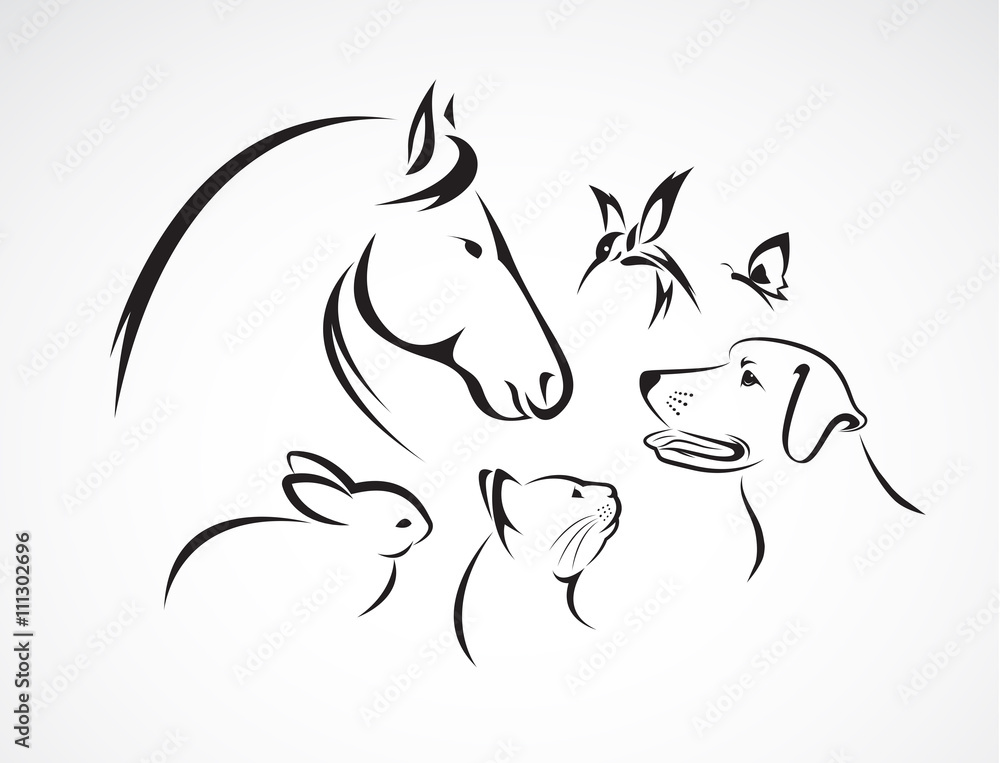 Fototapeta premium Vector group of pets - Horse,dog, cat,bird, butterfly, rabbit. Animal.