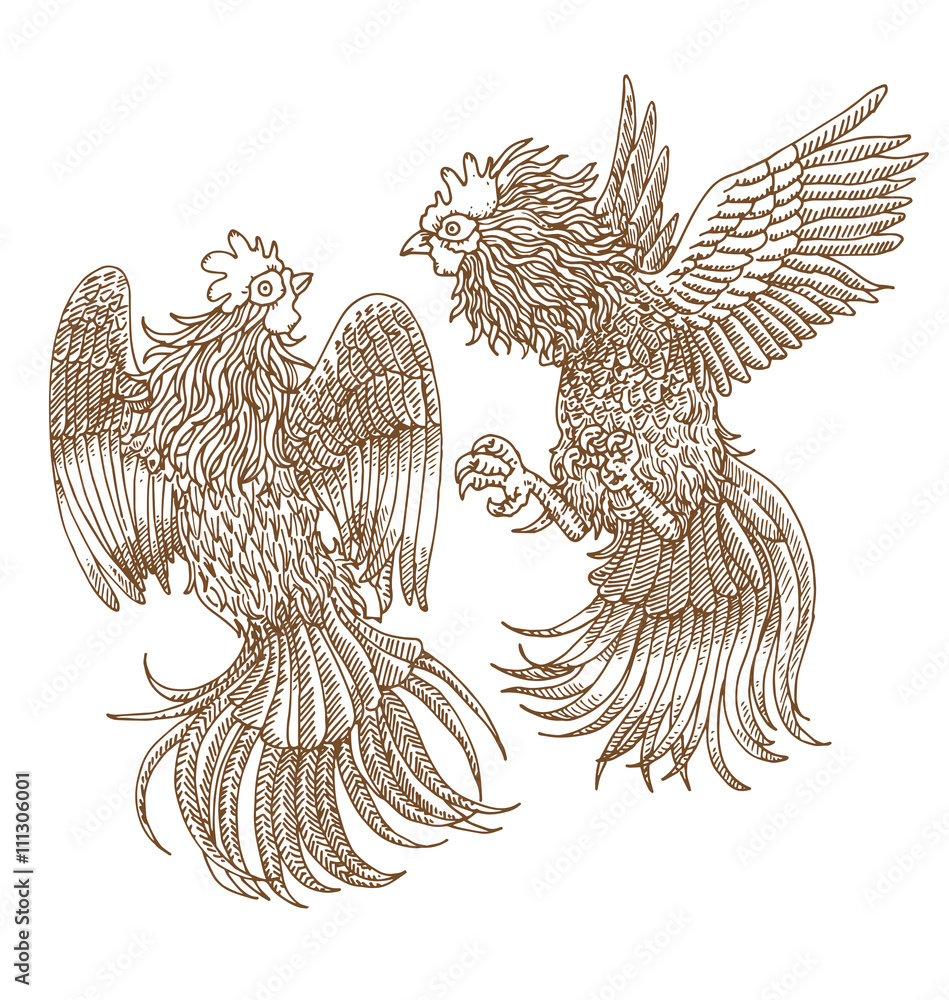Fighting roosters Stock Vector | Adobe Stock