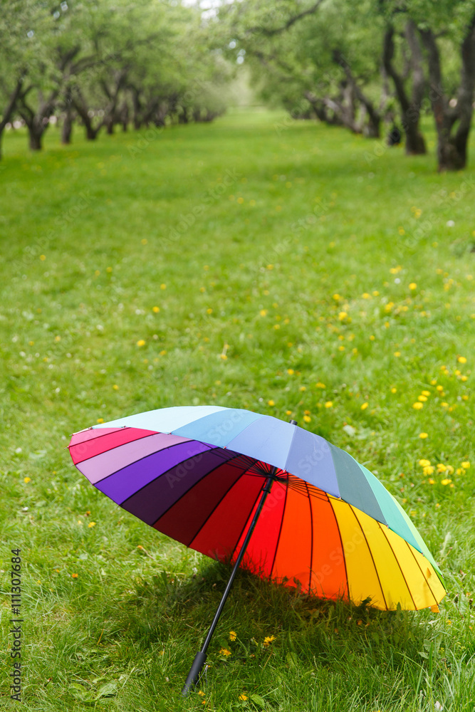 Umbrella rainbow colors, lying on the grass in the park