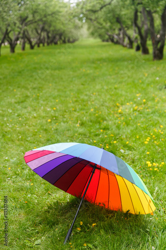 Umbrella rainbow colors  lying on the grass in the park