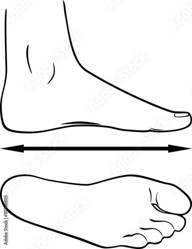 Black and white outline of the foot