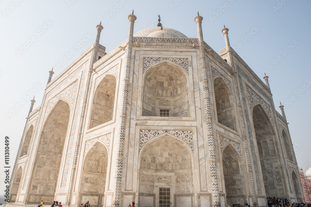 Obraz premium Carvings on Taj Mahal