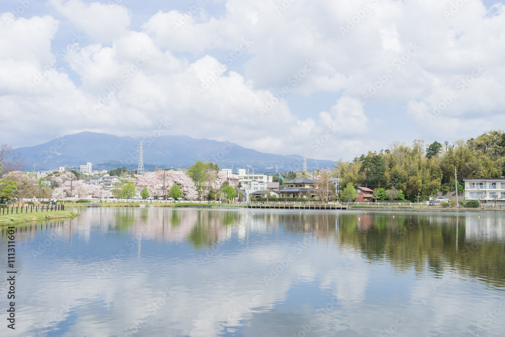 Fototapeta premium Spring Kadoike Park