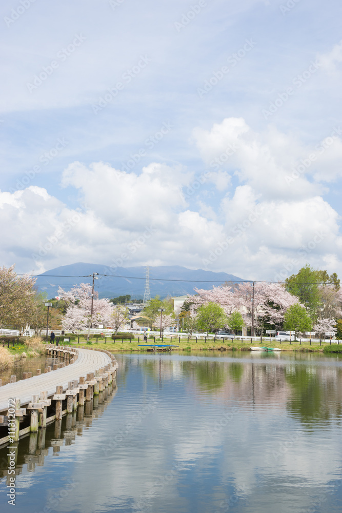 Fototapeta premium Spring Kadoike Park