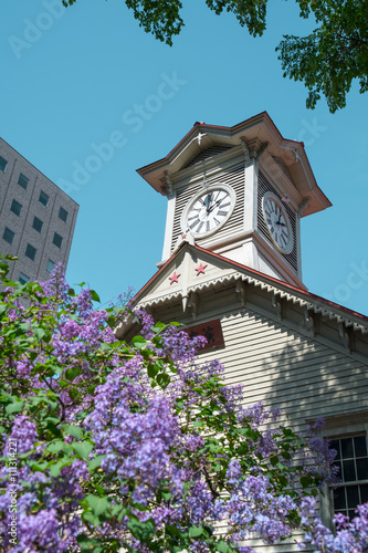 札幌時計台とライラックの花