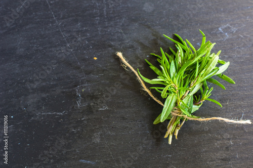 Fresh satureja herb