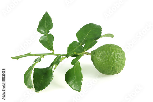 fresh bergamot and bergamot leaves isolated on white background.